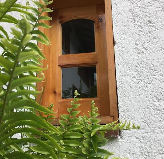 بنسيون Del Rio