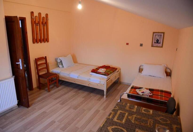 Пансион Delieva House