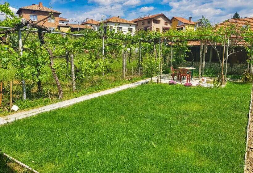 Пансион Delieva House