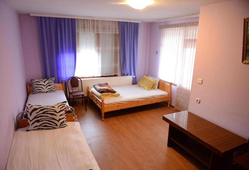 פנסיון Delieva House