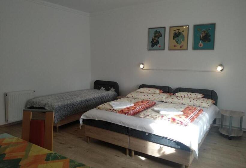 펜션 Füge Vendégház