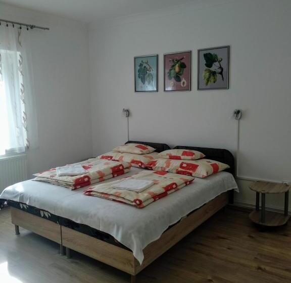 펜션 Füge Vendégház