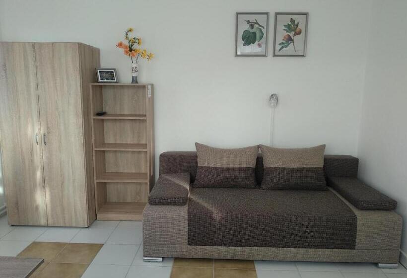 펜션 Füge Vendégház