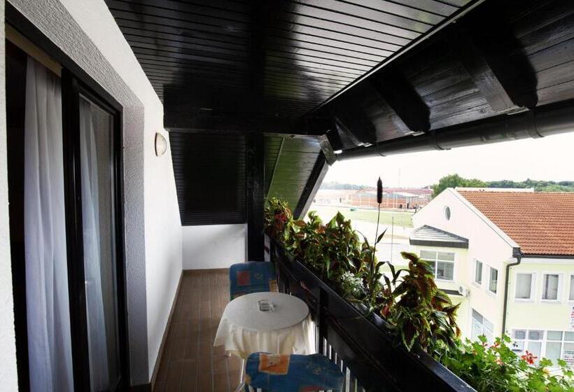 پانسیون Gostišče Prosnik