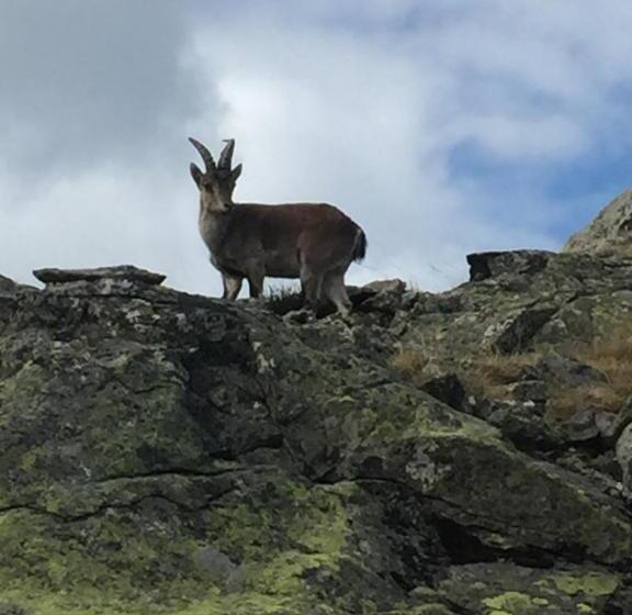 펜션 Hostal Sierra De Gredos