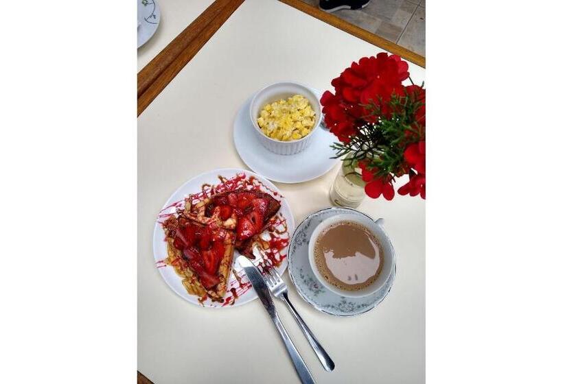 펜션 Mansao Austriaca Guesthouse