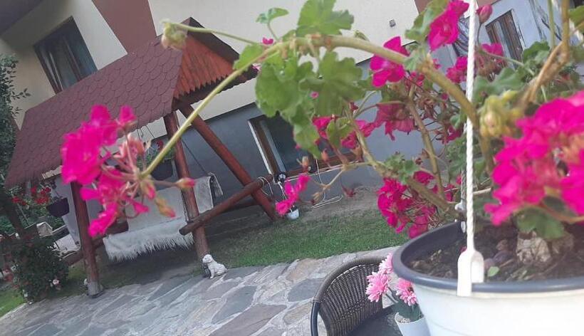 Pensiunea Casa Transalpina