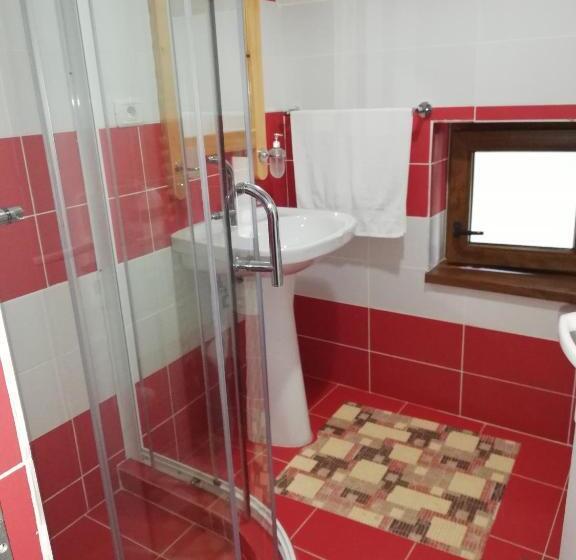 Pensiunea Casa Transalpina