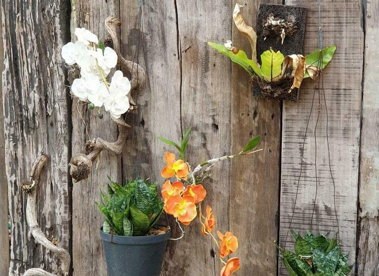 Raya Del Sol Dive Resort