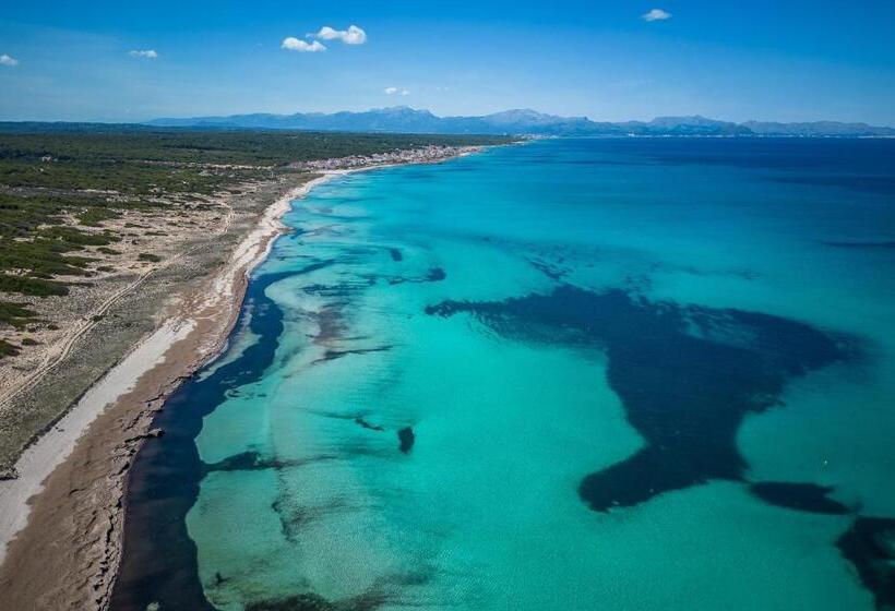 Ideal Property Mallorca   Son Serra