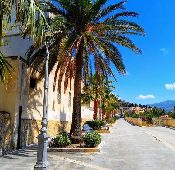 The Palace B&b And Apartments