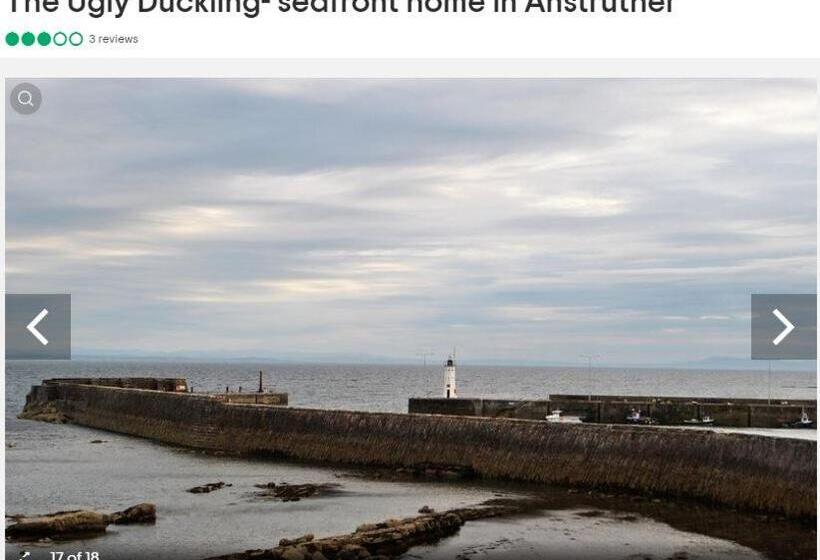 Ugly Duckling, License Number Fi 00863 P