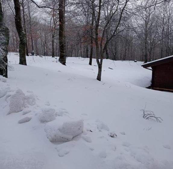 Villaggio Anemone Chalet Fragolina