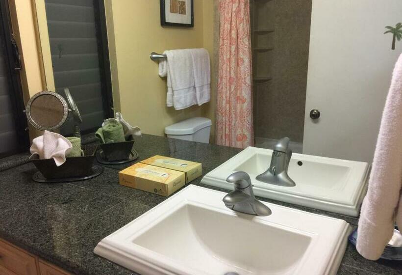 9b Ekahi Village Studio Bath, Garden View   1 Minute Stroll To Beach!