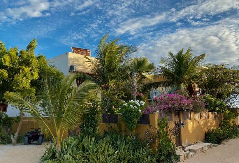 هاستل Pousada Dharma