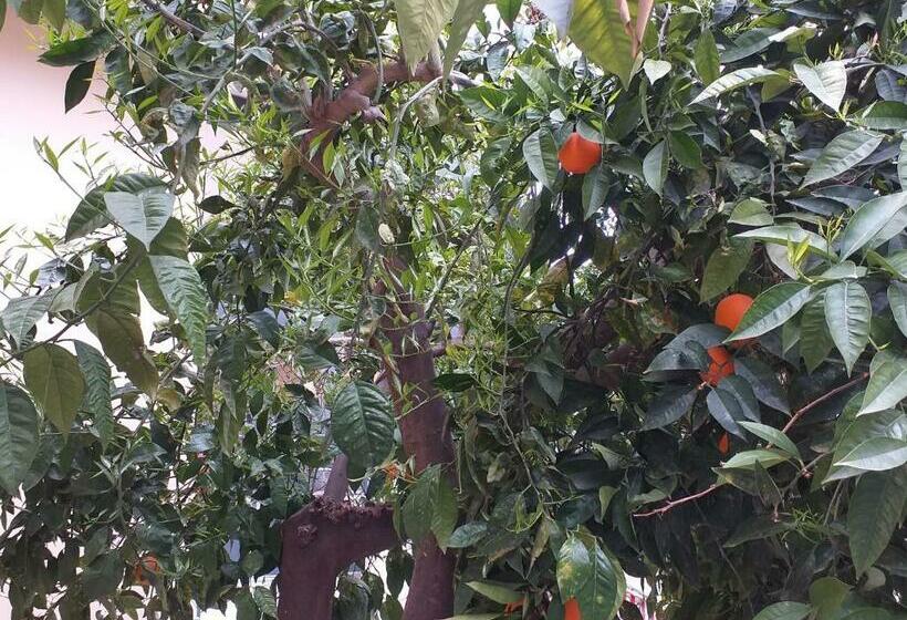 Appartamento B&b Domus Pompei