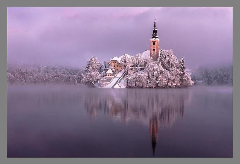 B&b Pletna A Double Lake View Room