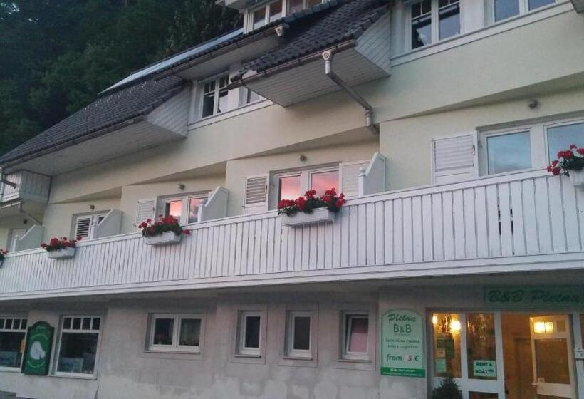 B&b Pletna A Double Lake View Room