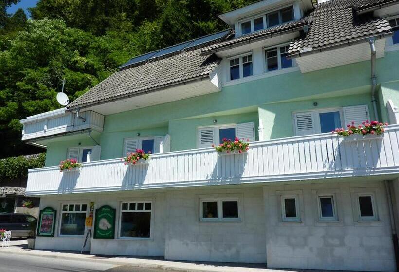 B&b Pletna A Double Lake View Room