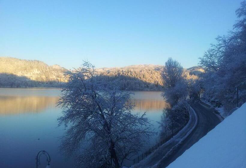 B&b Pletna A Double Lake View Room