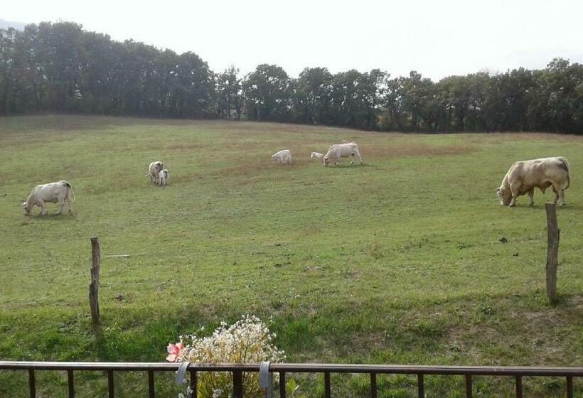 민박 Domaine Insolite Du Petit Moras