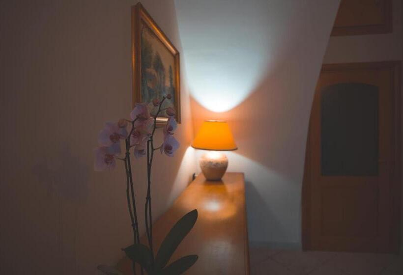 Bed and Breakfast Il Vicolo   Affittacamere