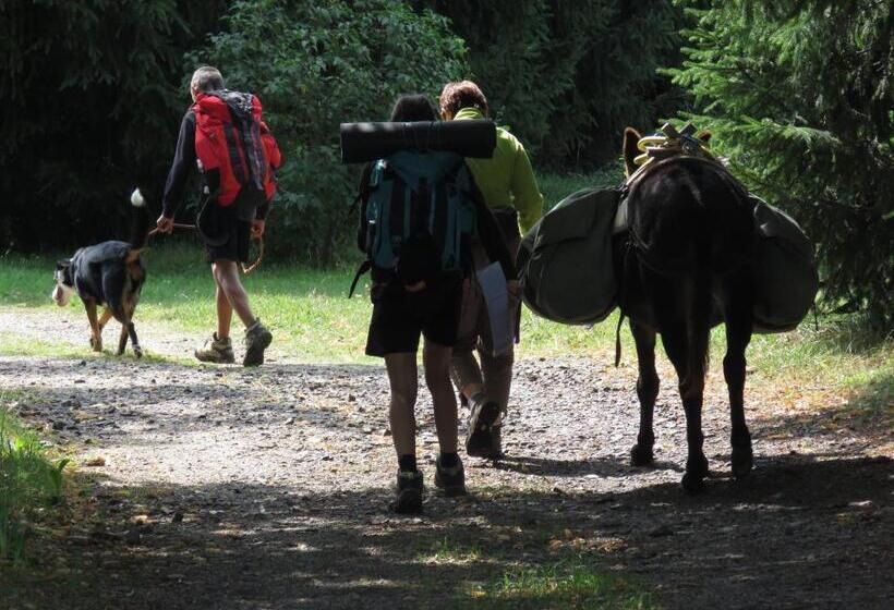 住宿加早餐 La Chaumière D Alambre