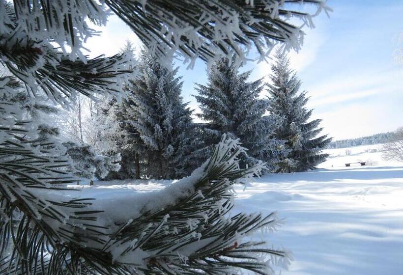 住宿加早餐 La Chaumière D Alambre