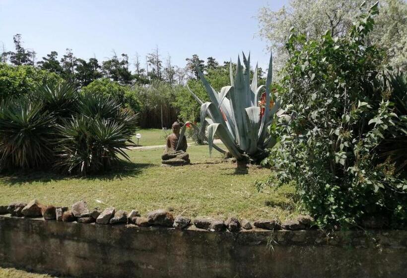 Bed and Breakfast Mas Maurane Roulotte Avec Spa Privé Aux Portes D Arles