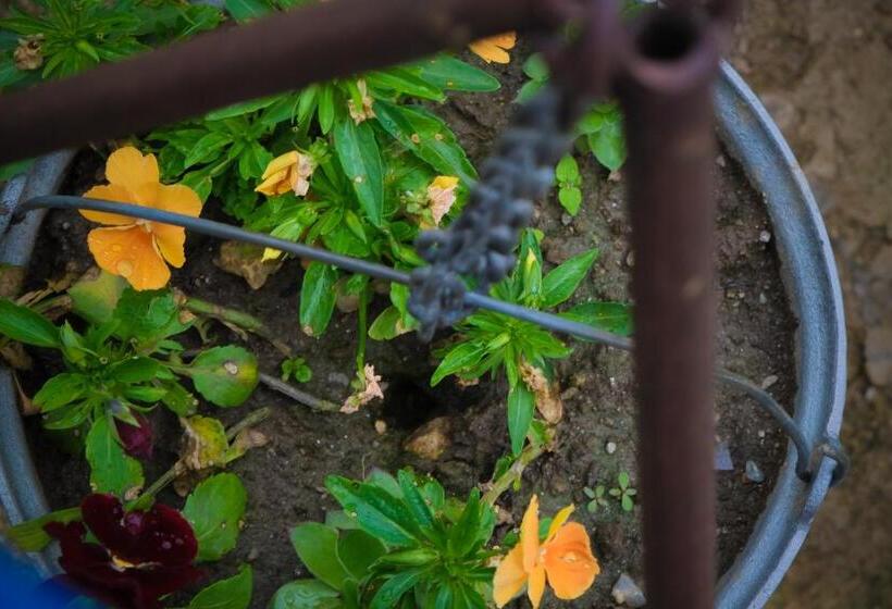 مبيت وإفطار Pensiunea Ileana Adults Only