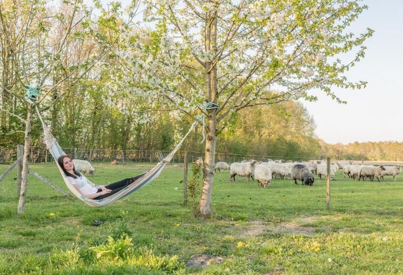 مبيت وإفطار Pipowagen Lidewei Groningen Westerwolde Unieke Ligging Met Eigen Tuin En Vrij Uitzicht Over Veld Naa
