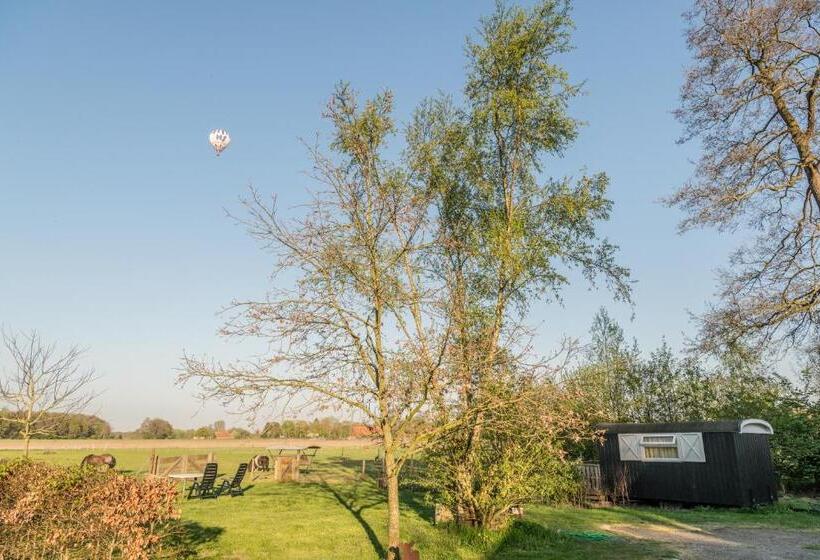 مبيت وإفطار Pipowagen Lidewei Groningen Westerwolde Unieke Ligging Met Eigen Tuin En Vrij Uitzicht Over Veld Naa