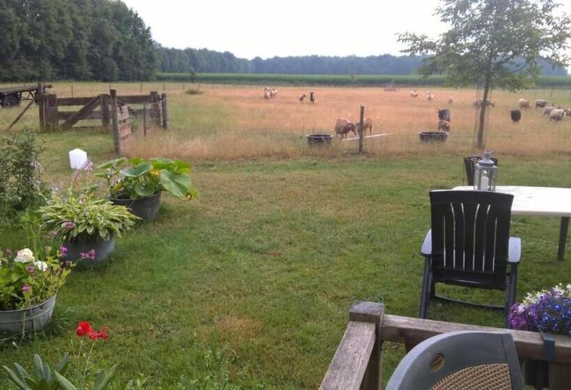 مبيت وإفطار Pipowagen Lidewei Groningen Westerwolde Unieke Ligging Met Eigen Tuin En Vrij Uitzicht Over Veld Naa