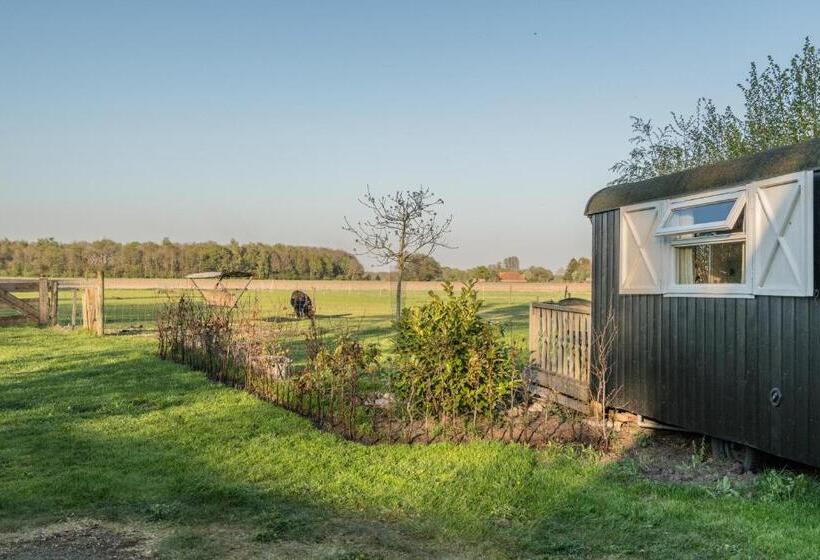 مبيت وإفطار Pipowagen Lidewei Groningen Westerwolde Unieke Ligging Met Eigen Tuin En Vrij Uitzicht Over Veld Naa
