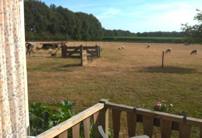 مبيت وإفطار Pipowagen Lidewei Groningen Westerwolde Unieke Ligging Met Eigen Tuin En Vrij Uitzicht Over Veld Naa
