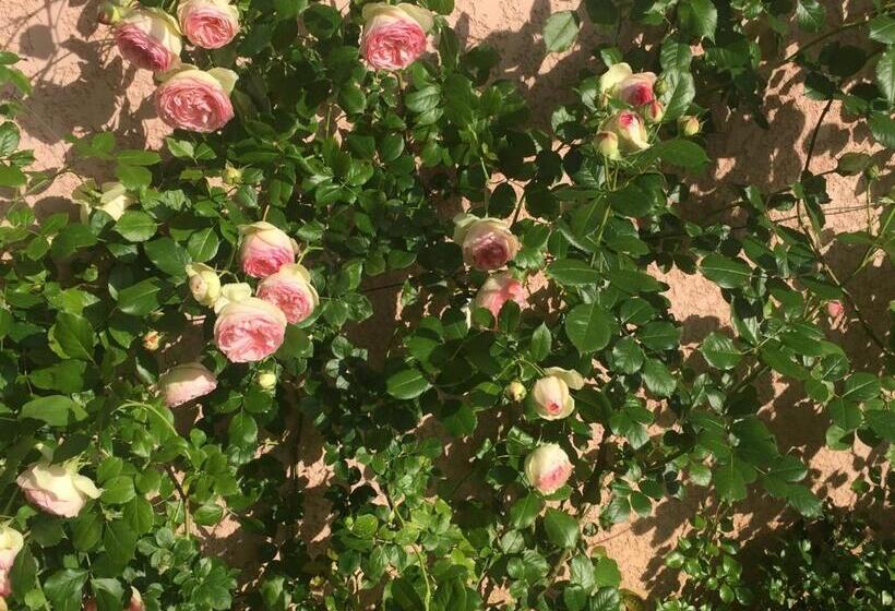 Bed and Breakfast Rose Garden Mezzanine