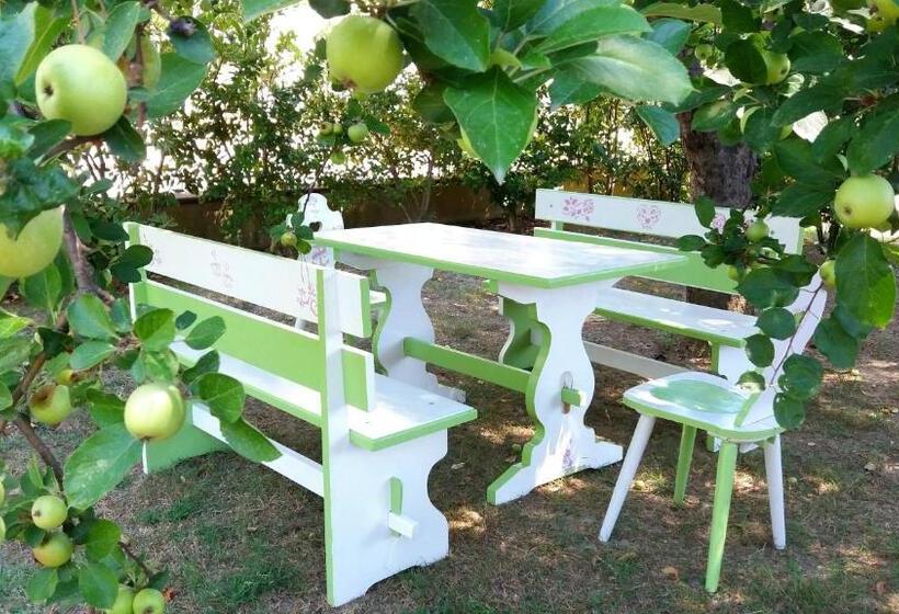 تختخواب و صبحانه Villa Bruna