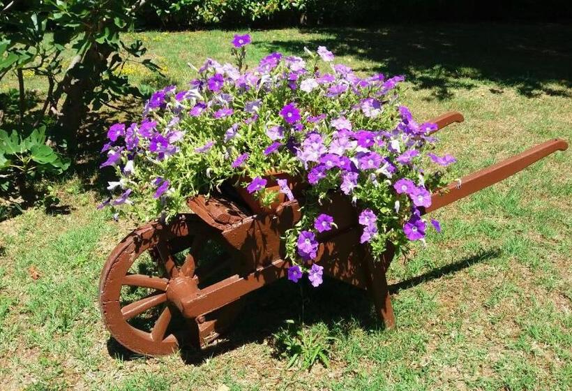 تختخواب و صبحانه Villa Bruna