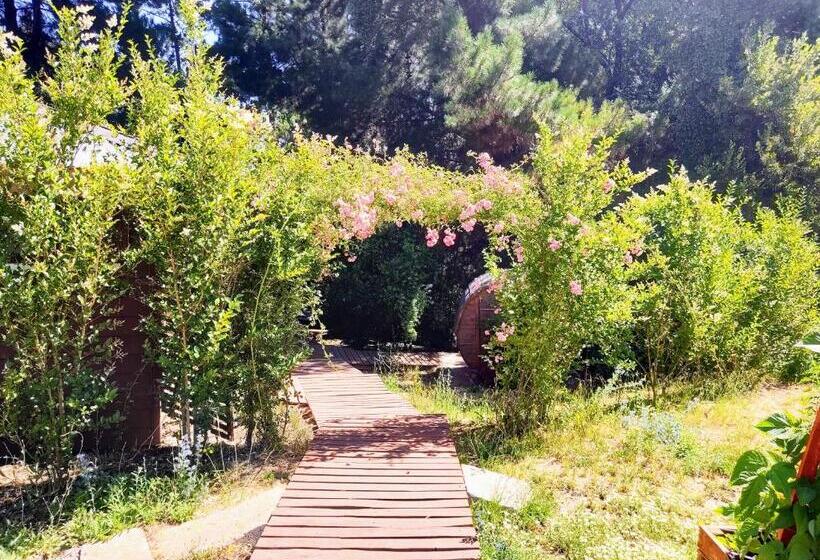 Cabañas Antukuyen Ex Mawunko