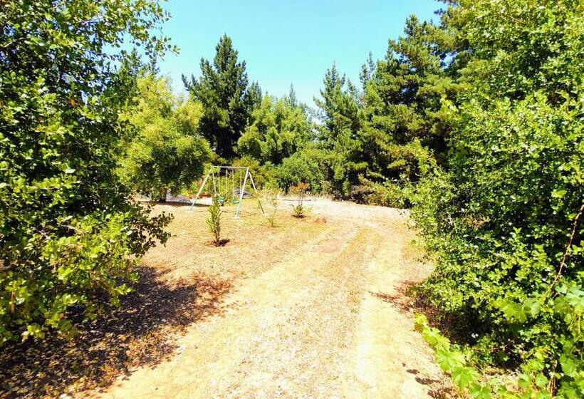 Cabañas Antukuyen Ex Mawunko