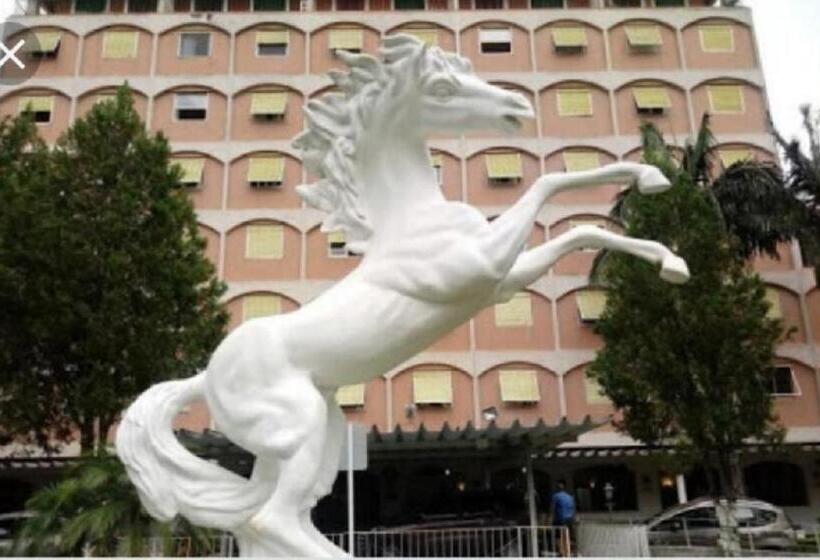 Cavalinho Branco   Apartamento 516