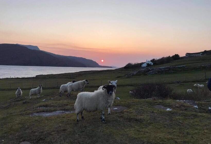 Croft No.8 Bed & Breakfast