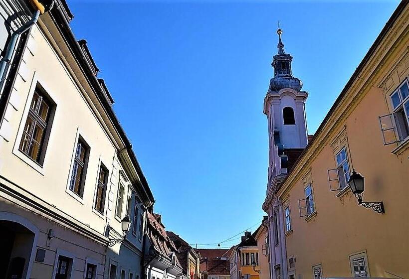 Downtown Apartments With Shared Kitchen