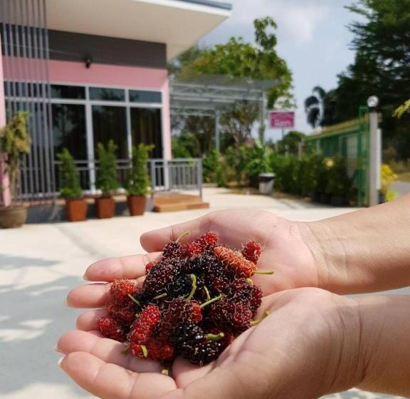 هتل บ้านสวนนิสา