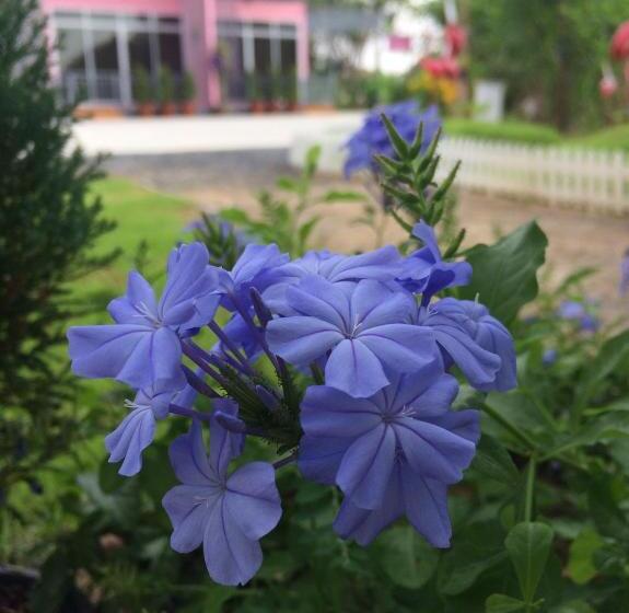 هتل บ้านสวนนิสา