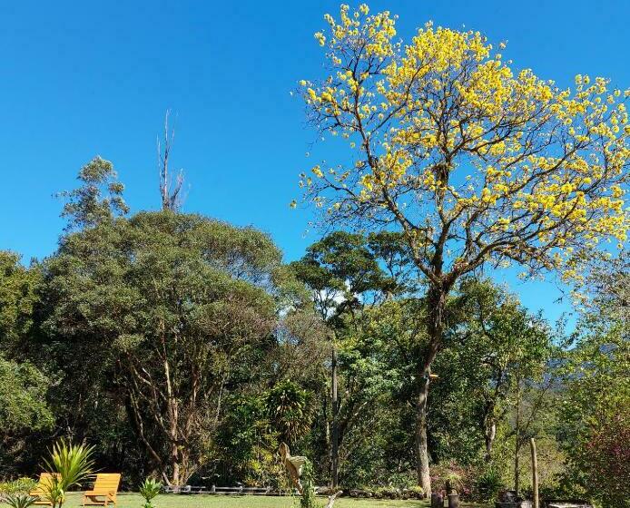 בית מלון כפרי Pousada Polessas