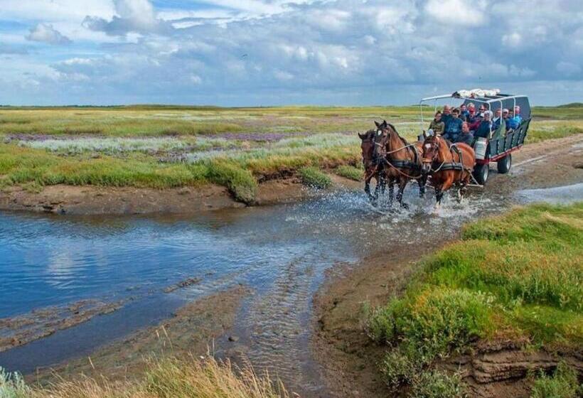 Jonas   Luxe Appartement Naast De Duinen