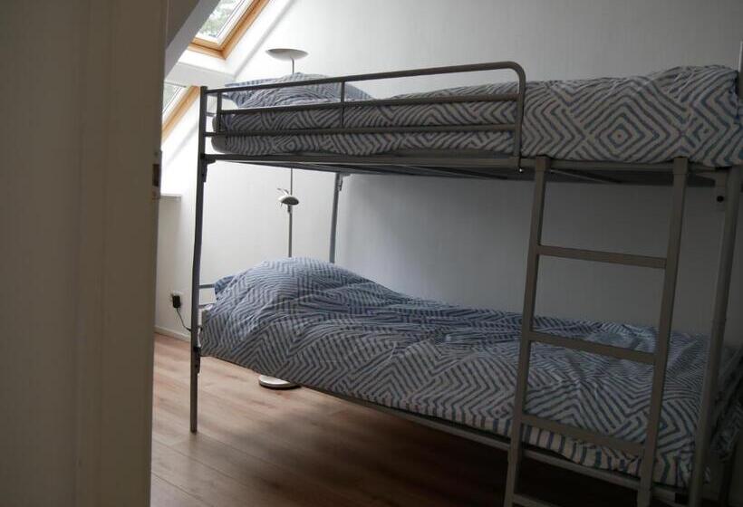 Jonas   Luxe Appartement Naast De Duinen