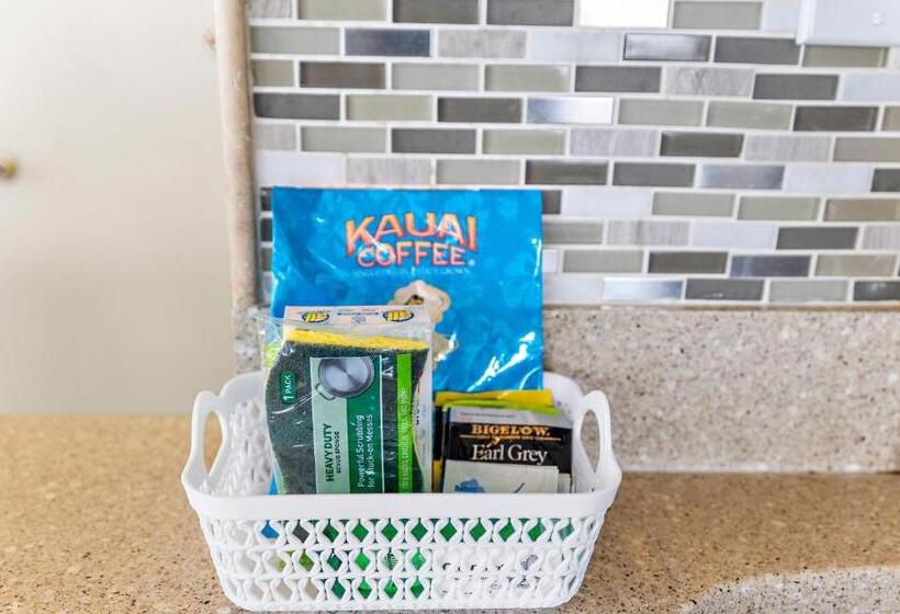 Pacific Monarch   1 Br   Ocean And City Views!