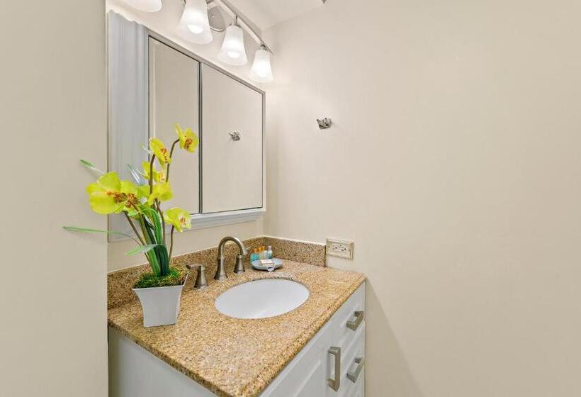 Pacific Monarch   1 Br   Ocean And City Views!